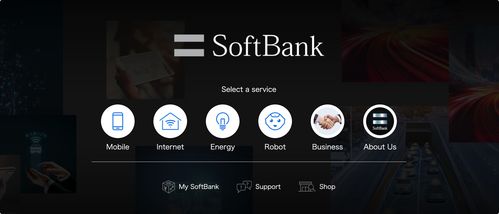 2021日本互联网信息服务发展研究报告